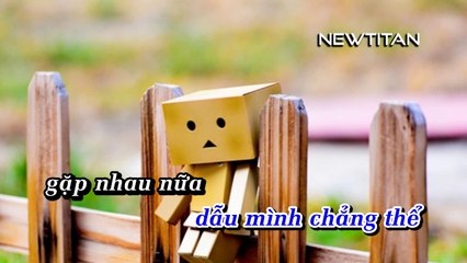 Lỡ Thương Một Người - Nguyễn Đình Vũ KARAOKE