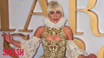 Lady Gaga 'humbled' by response to wildfires