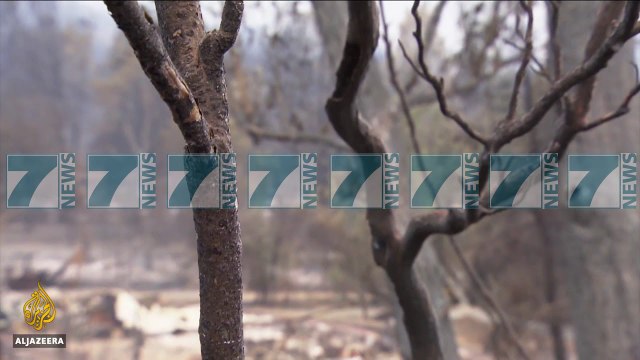 ZJARRET NE KALIFORNI, 31 VIKTIMA, AFRO 200 TE ZHDUKUR - News, Lajme - Kanali 7