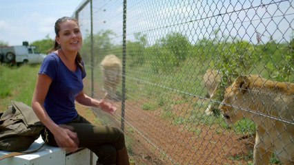 PBS Nature Super Cats Series 1 3 of 3 Science and Secrets