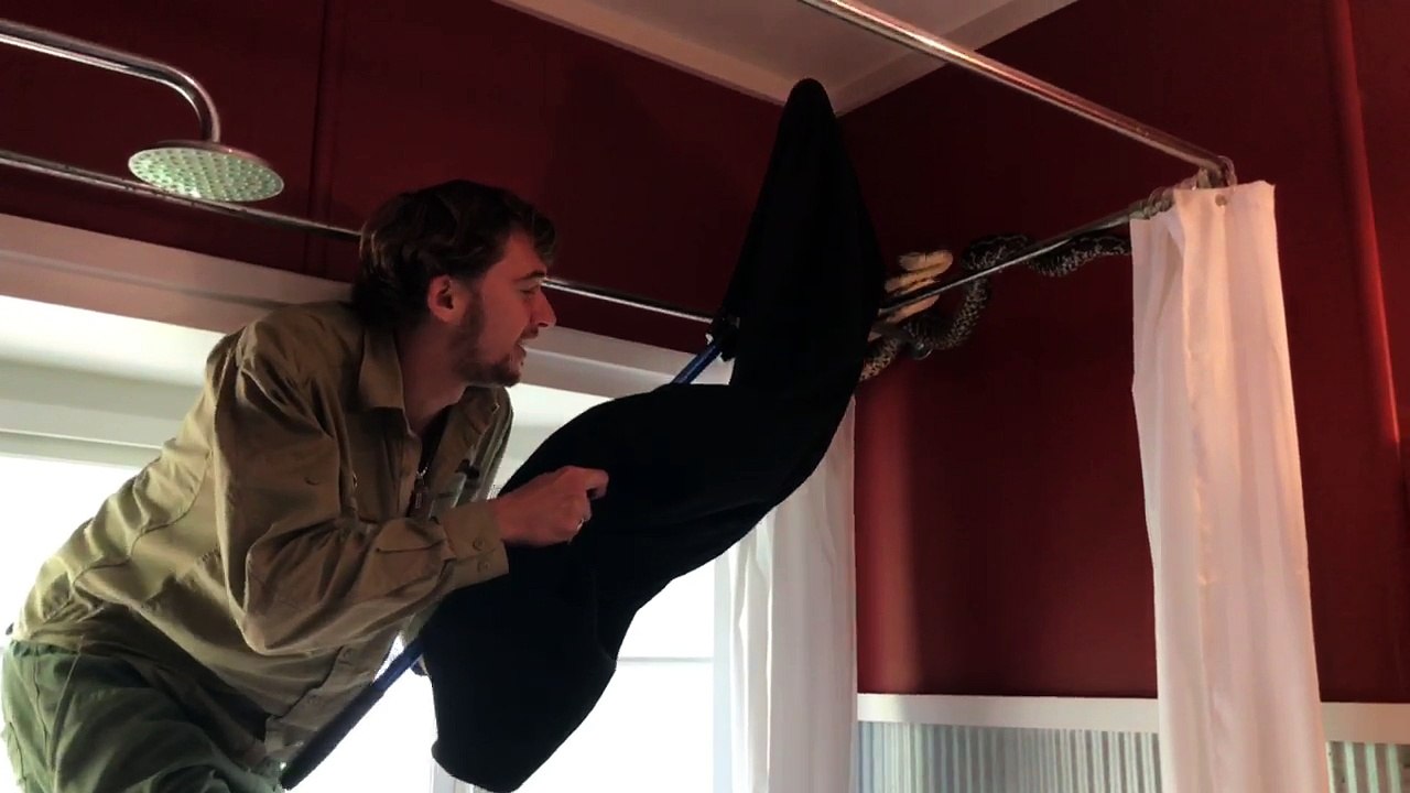 Catching a Snake, Literally