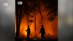 Incêndio deixa dezenas de mortos e casas em cinzas Califórnia
