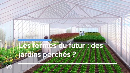 Le journal - 12/11/2018 - Fin de chantier pour la gare de St Pierre