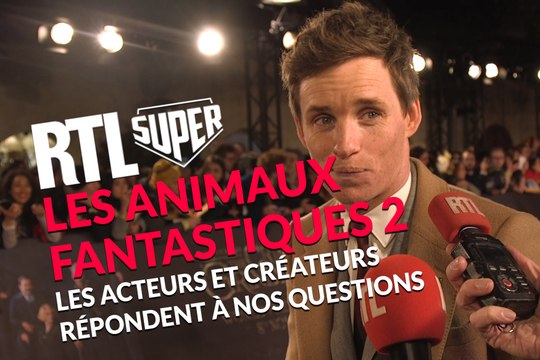 Les Animaux Fantastiques 2 : Ezra Miller, Jude Law... Le cast nous répond