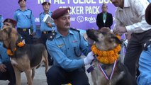 Cães policiais homenageados no Nepal