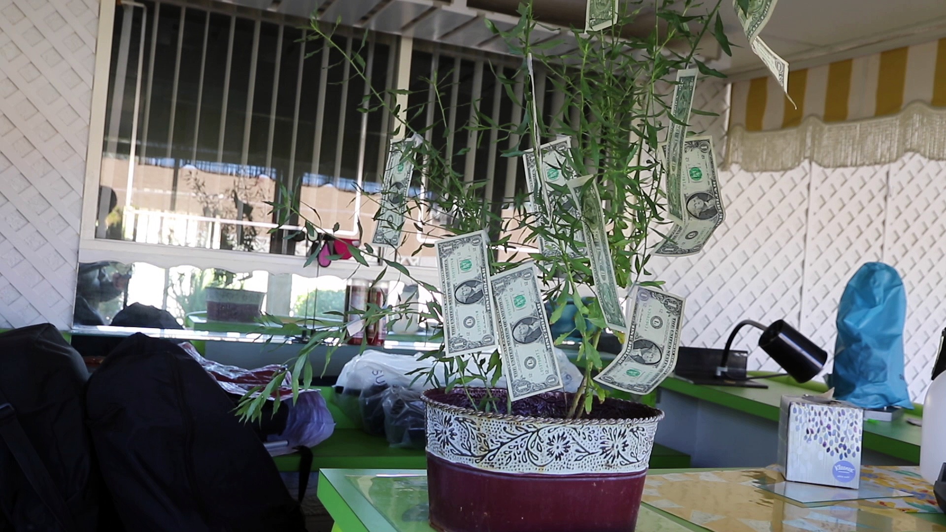 How to grow your own money.