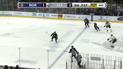 ECHL Norfolk Admirals 2 at Jacksonville Icemen 2