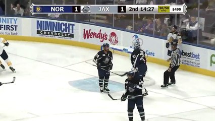ECHL Norfolk Admirals 2 at Jacksonville Icemen 3