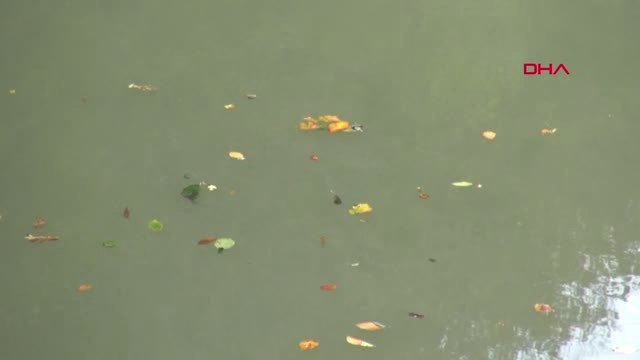 Isparta Eğirdir Gölü'nde 'Kuruma' Tehlikesi-2