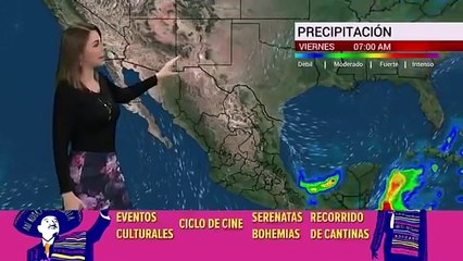 El clima del 15 de noviembre, con Arlett Fernandez