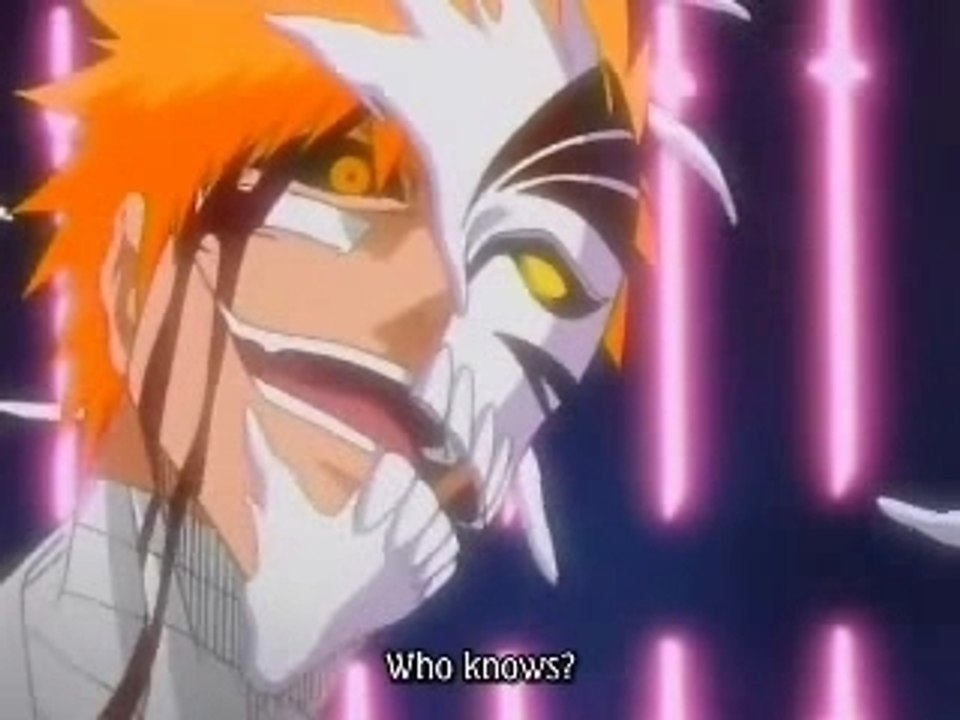 bleach ichigo hollow ou humain