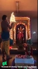 சேவலுக்கு கூட முடி திருத்தம் செய்கிறார்கள்-வீடியோ