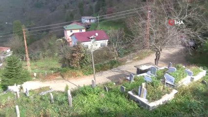 Fıkra Gibi Mahalle...bu Mahallede Yaşayan Herkesin Soyadı 'Sarı'