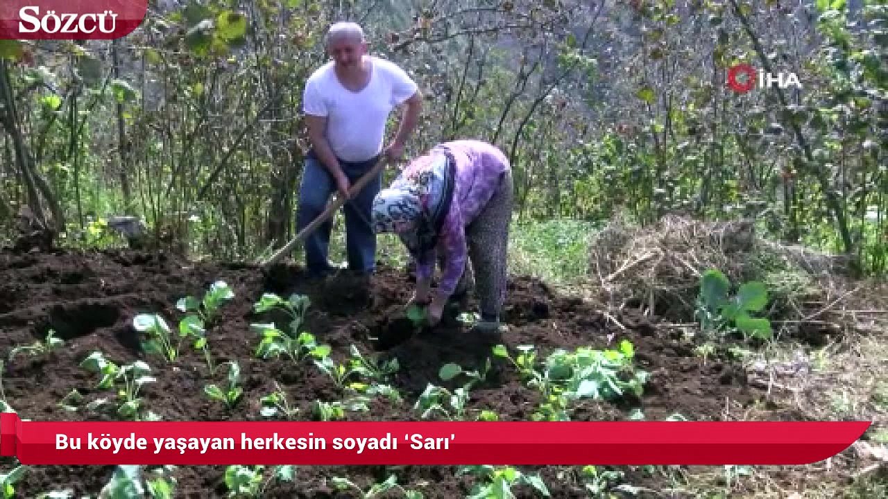 Bu köyde yaşayan herkesin soyadı ‘Sarı’