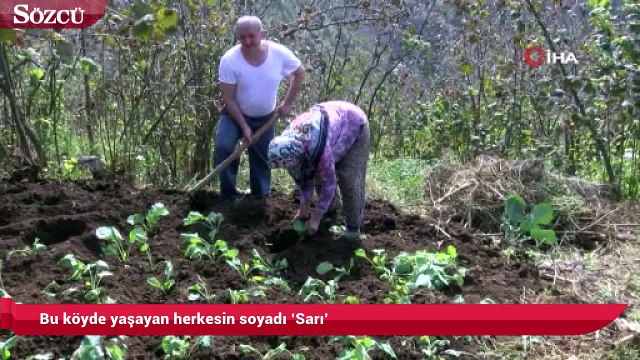 Bu köyde yaşayan herkesin soyadı ‘Sarı’