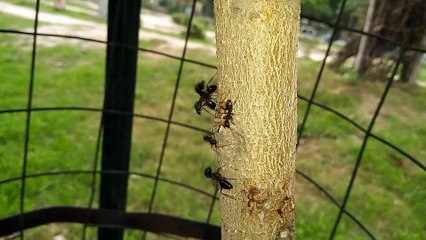 Time-lapse video  4k ultra HD