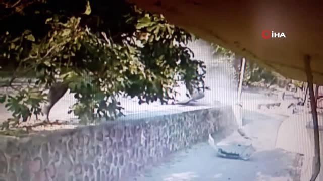 Otomobil ile Hafif Ticari Aracın Çarpıştığı Kaza Kamerada: 2 Yaralı