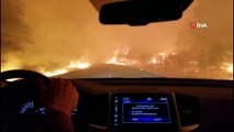 - Kaliforniya'daki Orman Yangınlarında Ölü Sayısı 44'e Yükseldi