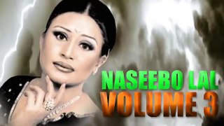 Naseebo Lal - Dil Taan Pagal Hai