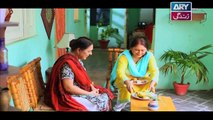 Bubbly Kya Chahti Hai  Episode 33 & 34 - on ARY Zindagi in High Quality 12th November 2018