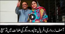 Asif Zardari, Faryal Talpur's bail extended in money laundering case