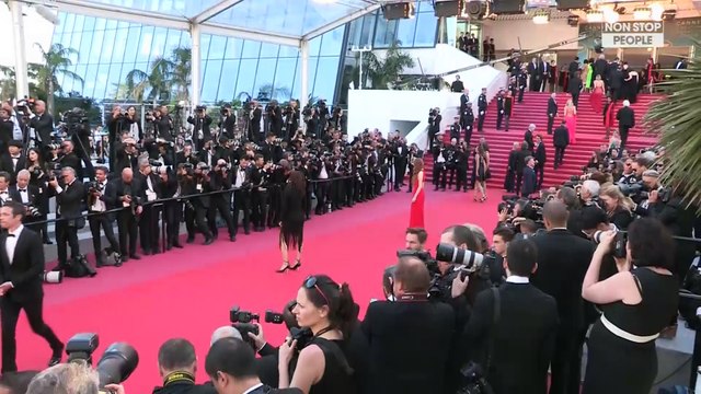 Asia Argento accusée d’agression sexuelle : Nicolas Sirkis réagit et la soutient