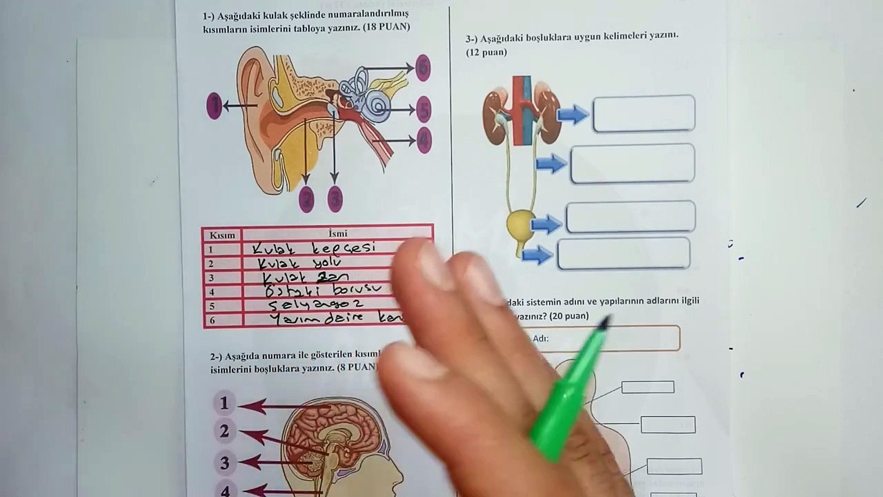 7. Sınıf Seçmeli Bilim Uygulamaları  Yazılı Soruları ve Çözümü