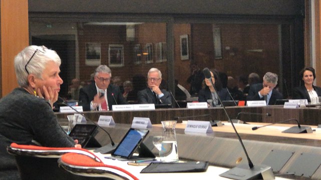 Le coup de fil du maire de Cholet Gilles Bourdouleix pendant le conseil municipal