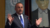 Çavuşoğlu: 'Avrupa Konseyi Parlamenter Meclisi ideolojilerin kurbanı olmaya başladı' - TUNCELİ