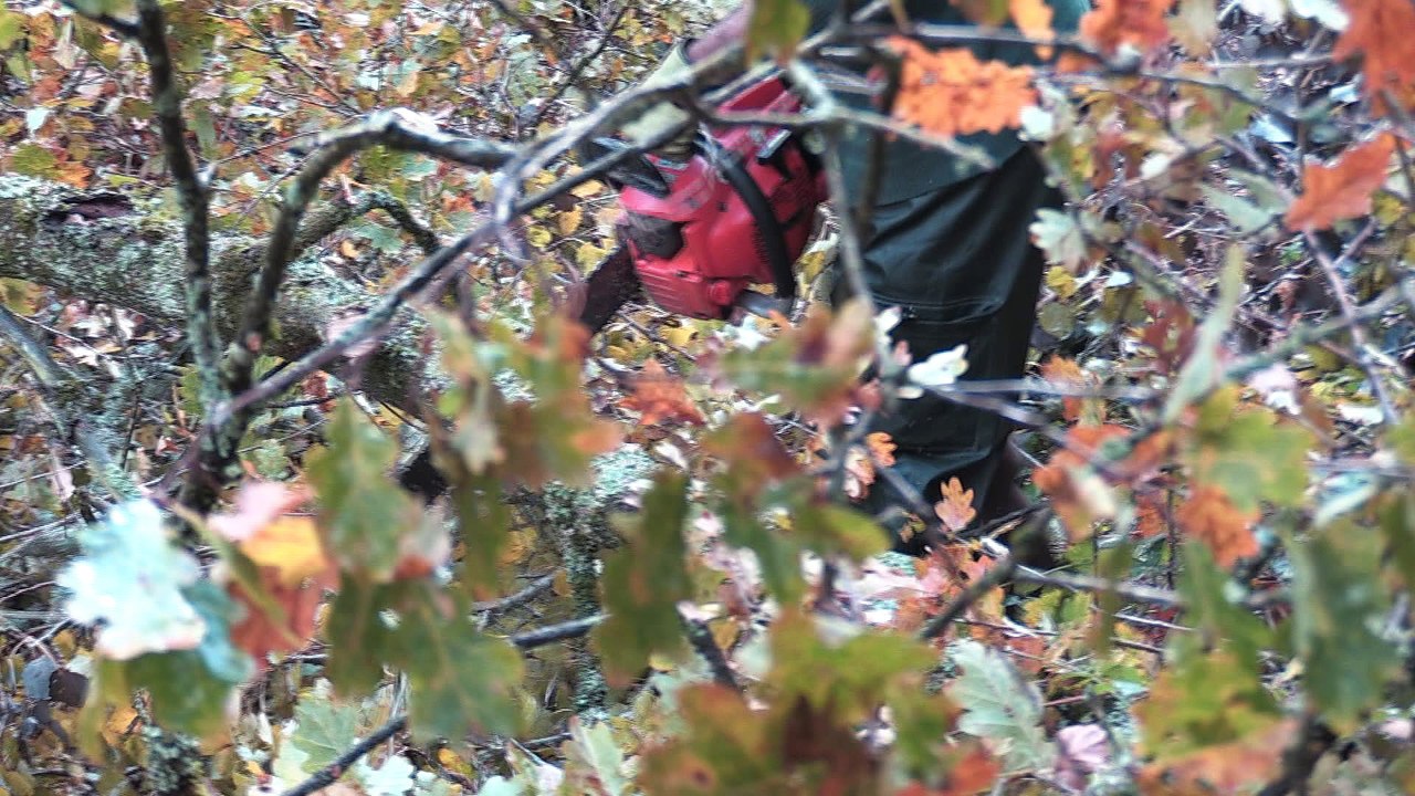 La neige a fait de gros dégâts sur les chemins de randonnées
