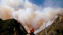 Incendies en Californie : l'avis d'un expert