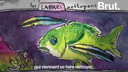 Interview avec Sébastien Moro