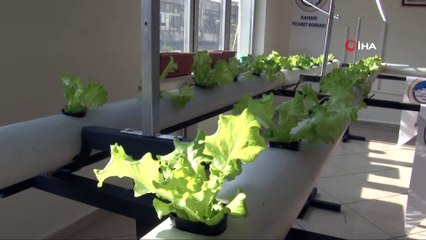 Kayseri'de topraksız tarım yapılacak