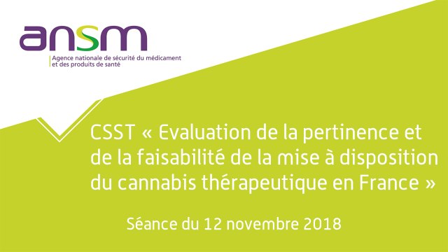 CSST Cannabis thérapeutique - Séance du 12 novembre 2018