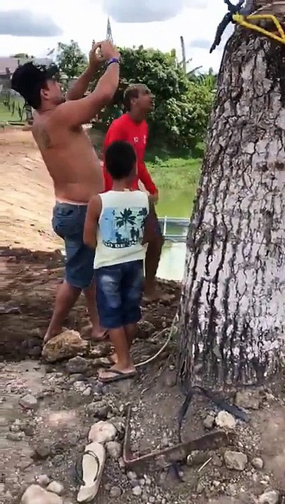 Il se fait jeter dans l'eau par une pelleteuse
