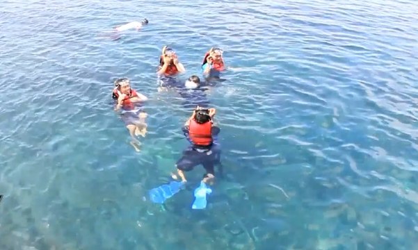 Menikmati Keindahan Terumbu Karang Perairan Kepulauan Karimun Jawa