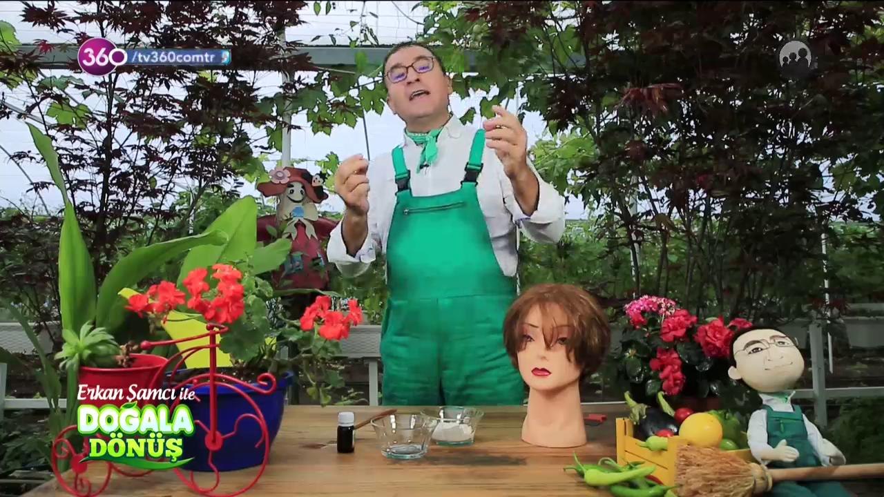 Bitlerden kurtulmanın doğal çözümleri