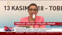 İhracat destek ofisleri tamam