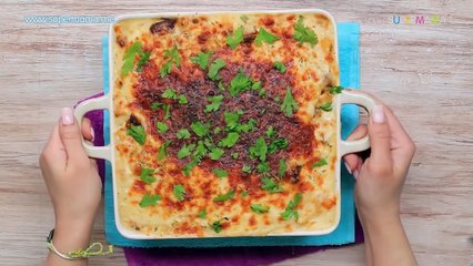 طبق رئيسي