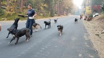 People Are Rushing To Rescue Animals From California's Wildfires