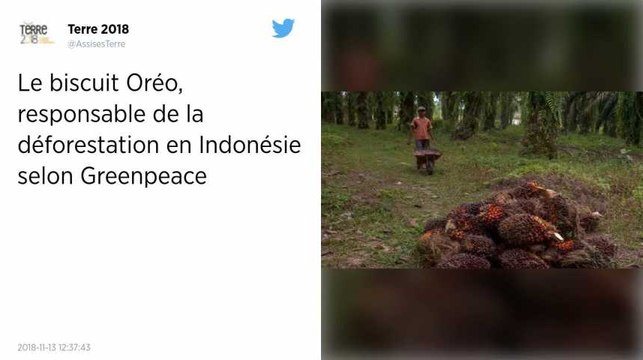 Le biscuit Oréo, responsable de la déforestation en Indonésie selon Greenpeace.