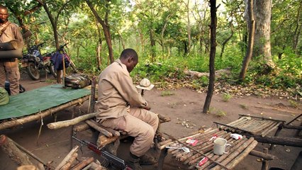 L'impossible mission des gardes forestiers en Centrafrique