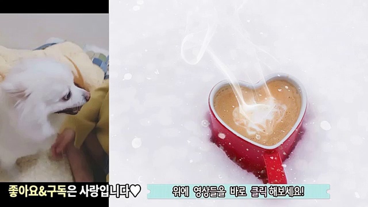 동해출장마사지 - { 카톡MSG5588 } ⊀Ö7Ô-5180-1616⊁ 동해출장안마'20대' 동해출장안마 출장안마코스 동해출장안마 동해출장마사지-황제 동해출장마사지- 동해콜걸.
