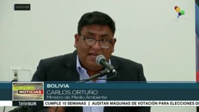 Bolivia impulsa nueva campaña de reforestación en áreas urbanas