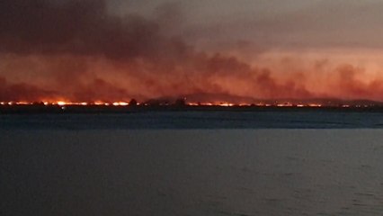 화성 갈대숲 화재...갈대밭 15ha 소실 / YTN