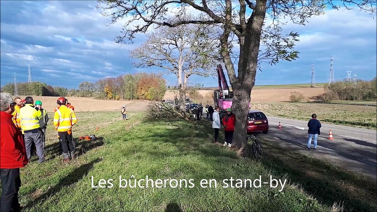 GCO Les arbres entre Pfulgriesheim et Pfettisheim ont été abattus