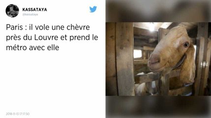 Paris. Il vole une chèvre au jardin des Tuileries et prend le métro avec.