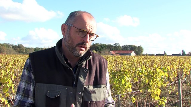 Le journal - 13/11/2018 - Le Touraine primeur, c'est fini