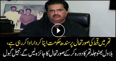 Sindh playing its role to tackle famine situation in Thar: Nabeel Gabol