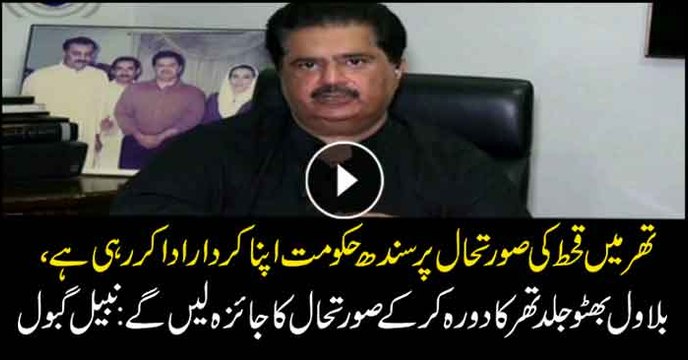 Sindh playing its role to tackle famine situation in Thar: Nabeel Gabol